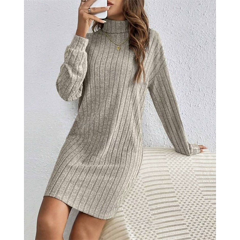 Women's Stretchy High Neck Knit Dress