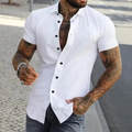 Men's Slim Fit Short Sleeve Shirt Smart Summer Shirt