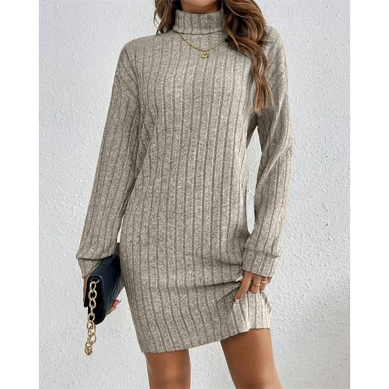 Women's Stretchy High Neck Knit Dress
