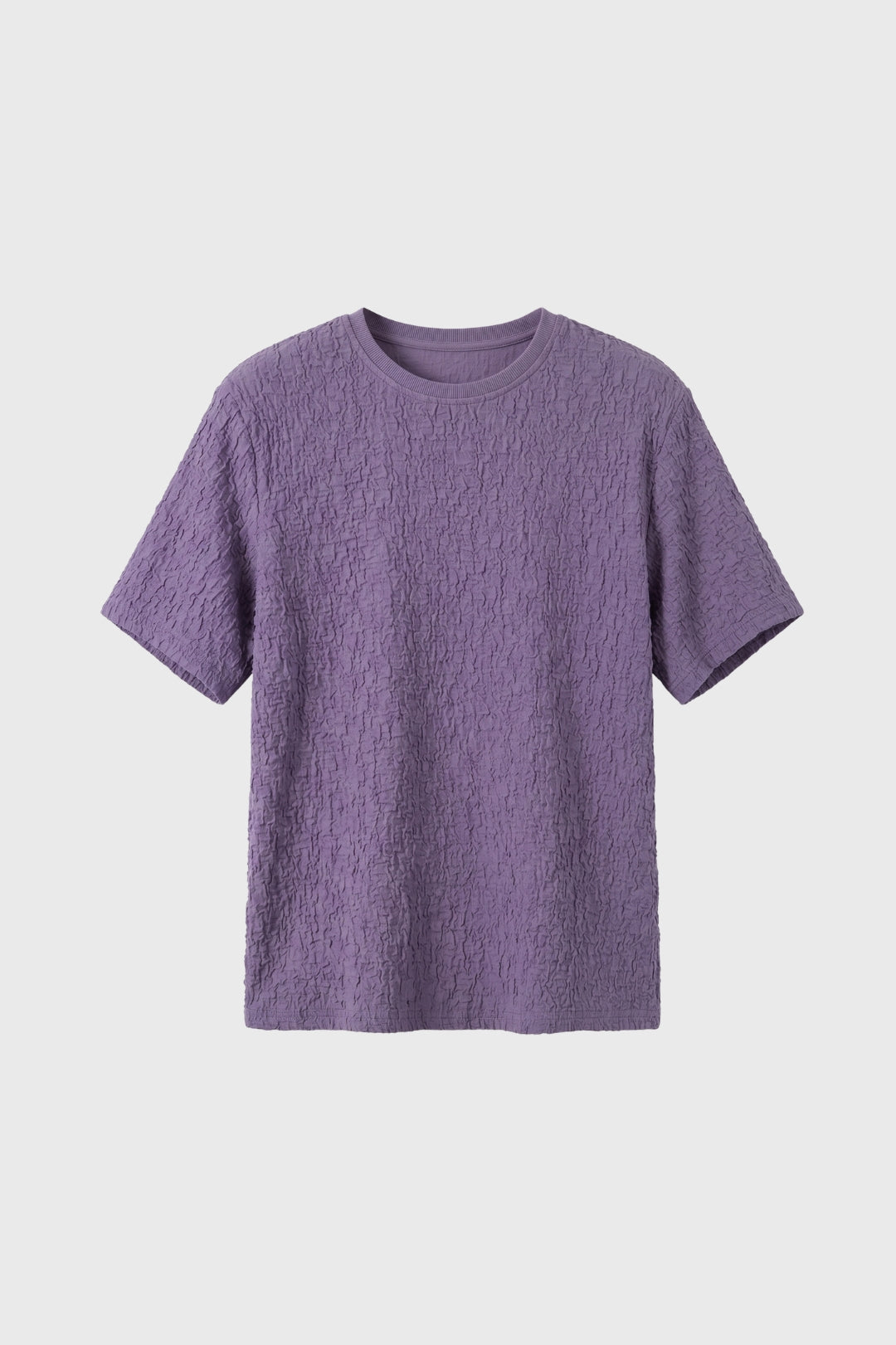 Men's Crinkle Texture T Shirt Relaxed Crew Neck Top