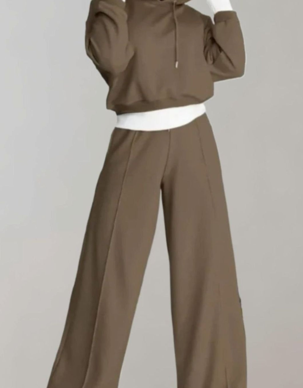 Women's Two-Piece Cropped Hoodie Wide-Leg Tracksuit Pants Set
